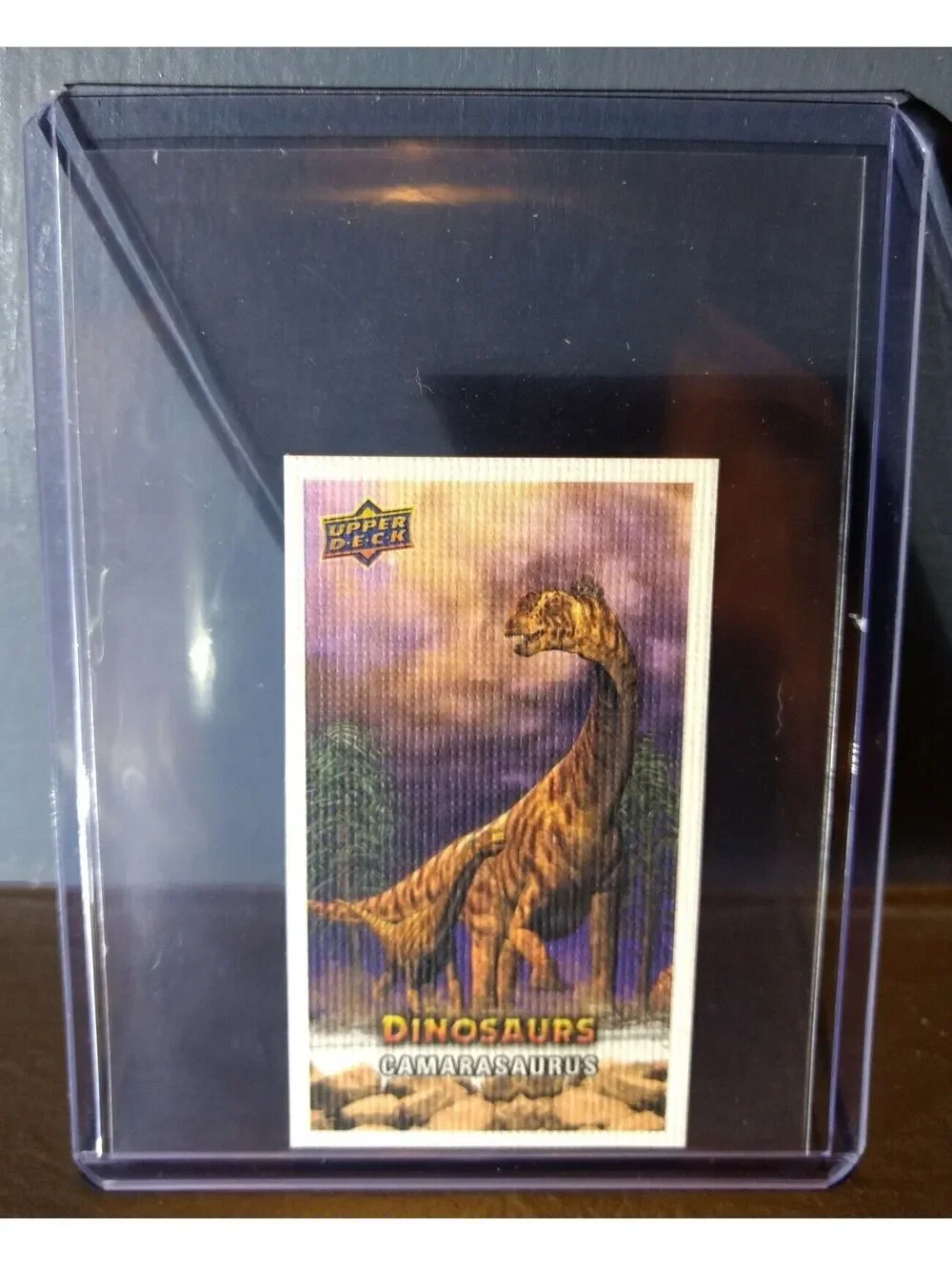 2015 Upper Deck Dinosaurs Canvas Mini Camarasaurus #71 Trading Card